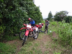 Click to see 102-0227_IMG.JPG