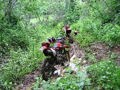 Click to see 103-0316_IMG.JPG