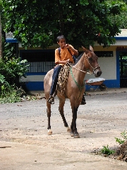 Click to see boy on horse.JPG